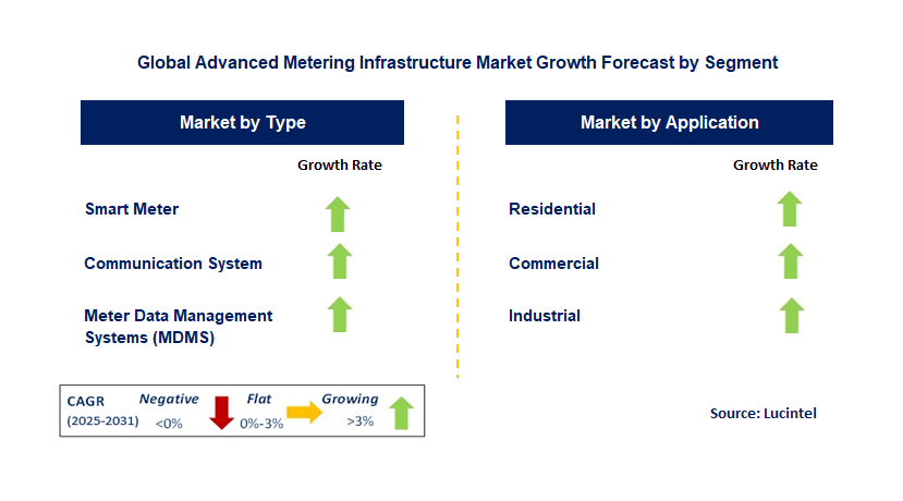 Advanced Metering Infrastructure Market by Segment
